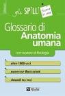 Glossario di anatomia umana (con nozioni di fisiologia)