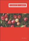 Piero Gilardi. Dalla post-pop alla new media art, il percorso di ricerca dal 1963 al 2004