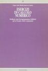 Esercizi di calcolo numerico. Problemi, temi di programmazione Fortran, prove d'esame, svolti e commentati