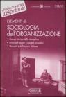 Elementi di sociologia dellorganizzazione. eBook