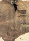 Trasformazioni dellambiente costruito. eBook
