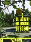 Gli agrumi nel giardino di Boboli