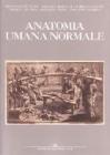 Anatomia umana normale