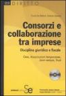 Consorzi e collaborazione tra imprese. eBook