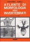 Atlante di morfologia degli invertebrati