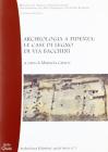 Archeologia a Fidenza: le case di legno di via Bacchini
