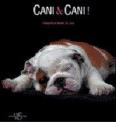 Cani & cani