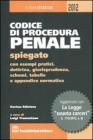 Codice di procedura penale spiegato. eBook