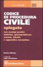 Codice di procedura civile spiegato. eBook