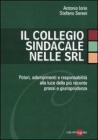 Il Collegio sindacale nelle srl. eBook
