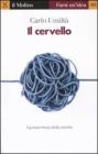 Il cervello. La macchina della mente. eBook