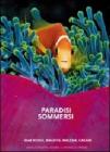 Paradisi sommersi. Mar Rosso, Maldive, Malesia, Caraibi