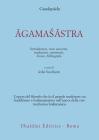Agamasastra. Introduzione, testo sanscrito, traduzione, commento, lessico, bibliografia