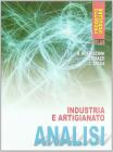 Analisi. Industria e artigianato. Per gli Ist. Professionali