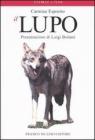 Il lupo