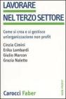 Lavorare nel terzo settore. Come si crea e si gestisce un'organizzazione non profit