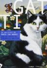 Gatti. 11 acrilici di Maria Ida Amadei