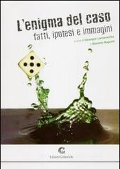 L' enigma del caso. Fatti, ipotesi e immagini