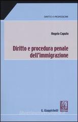 Diritto e procedura penale dell'immigrazione Diritto e procedura penale dell'immigrazione