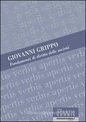 Fondamenti di diritto delle societ�. I principi e le norme. eBook