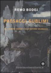 Paesaggi sublimi. Gli uomini davanti alla natura selvaggia. eBook