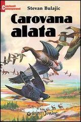 Carovana alata Carovana alata