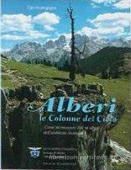 Alberi: le colonne del cielo. Come riconoscere 100 + 1 alberi e arbusti delle montagne italiane Alberi: le colonne del cielo. Come riconoscere 100 + 1 alberi e arbusti delle montagne italiane