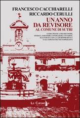 Un anno da revisore