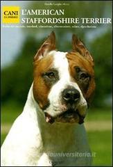 L' American Staffordshire Terrier L' American Staffordshire Terrier