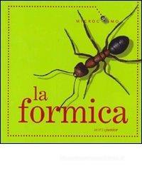 La formica