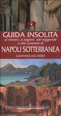 Guida insolita ai misteri, ai segreti, alle leggende e alle curiosità di Napoli sotterranea