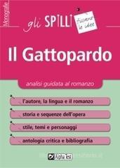 Il Gattopardo. Analisi guidata al romanzo