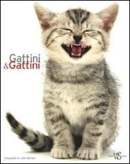 Gattini & gattini Gattini & gattini