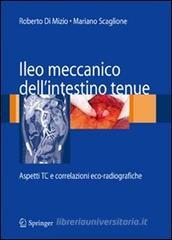 Ileo meccanico dell'intestino tenue: aspetti TC e correlazioni eco-radiografiche Ileo meccanico dell'intestino tenue: aspetti TC e correlazioni eco-radiografiche