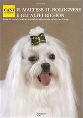 Il Maltese, il Bolognese e gli altri Bichon Il Maltese, il Bolognese e gli altri Bichon