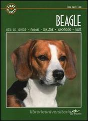 Beagle Beagle