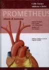 Prometheus Atlante di anatomia vol.2