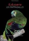 Educare un pappagallo