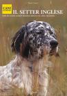 Il setter inglese