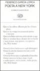 Poeta a New York. Testo spagnolo a fronte