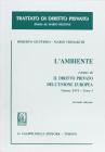 L' ambiente