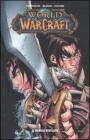 World of Warcraft vol.2