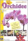 Orchidee. Guida alla coltivazione in casa della Phalaenopsis