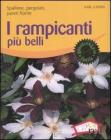 I rampicanti pi� belli. Spalliere, pergolati, pareti fiorite