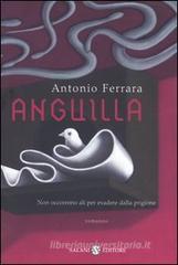 Anguilla Anguilla
