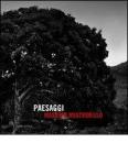 Paesaggi