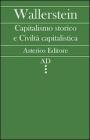Capitalismo storico e civilt� capitalistica