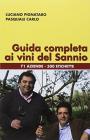 Guida completa ai vini del Sannio