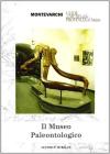 Il museo paleontologico di Montevarchi
