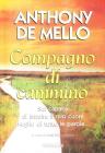 Compagno di cammino